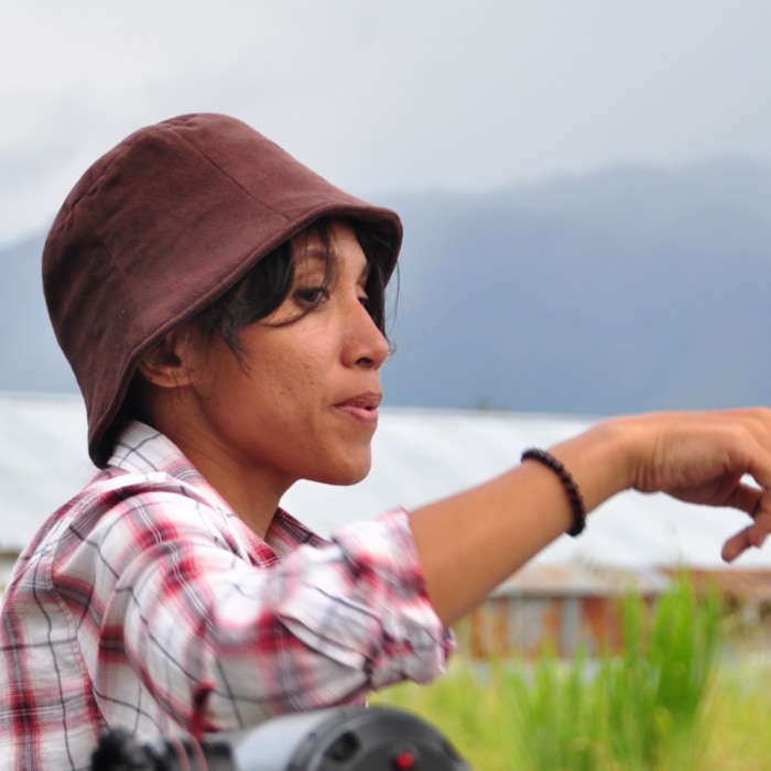 Lasja Fauzia Susatyo